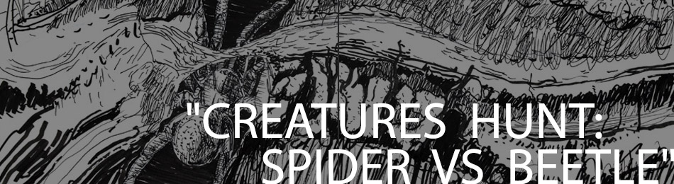 Spider vs Beetle